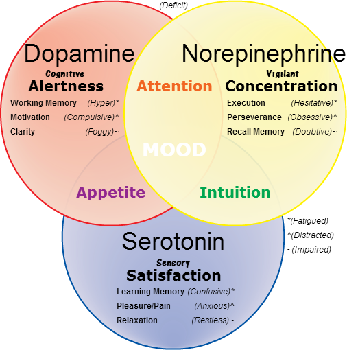 NorepinephrineDopamineSerotonin