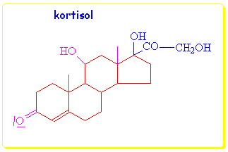 kortisol
