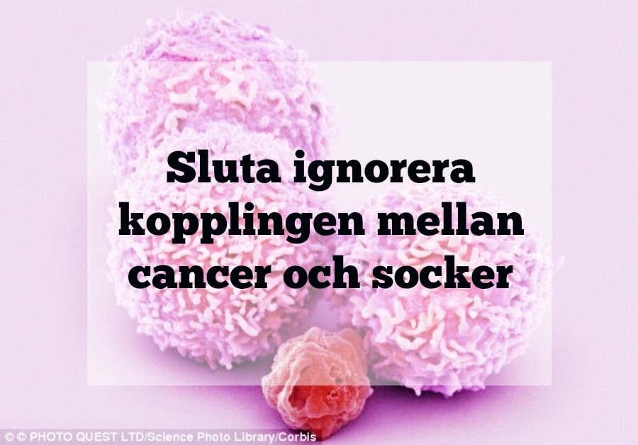 cancer och socker